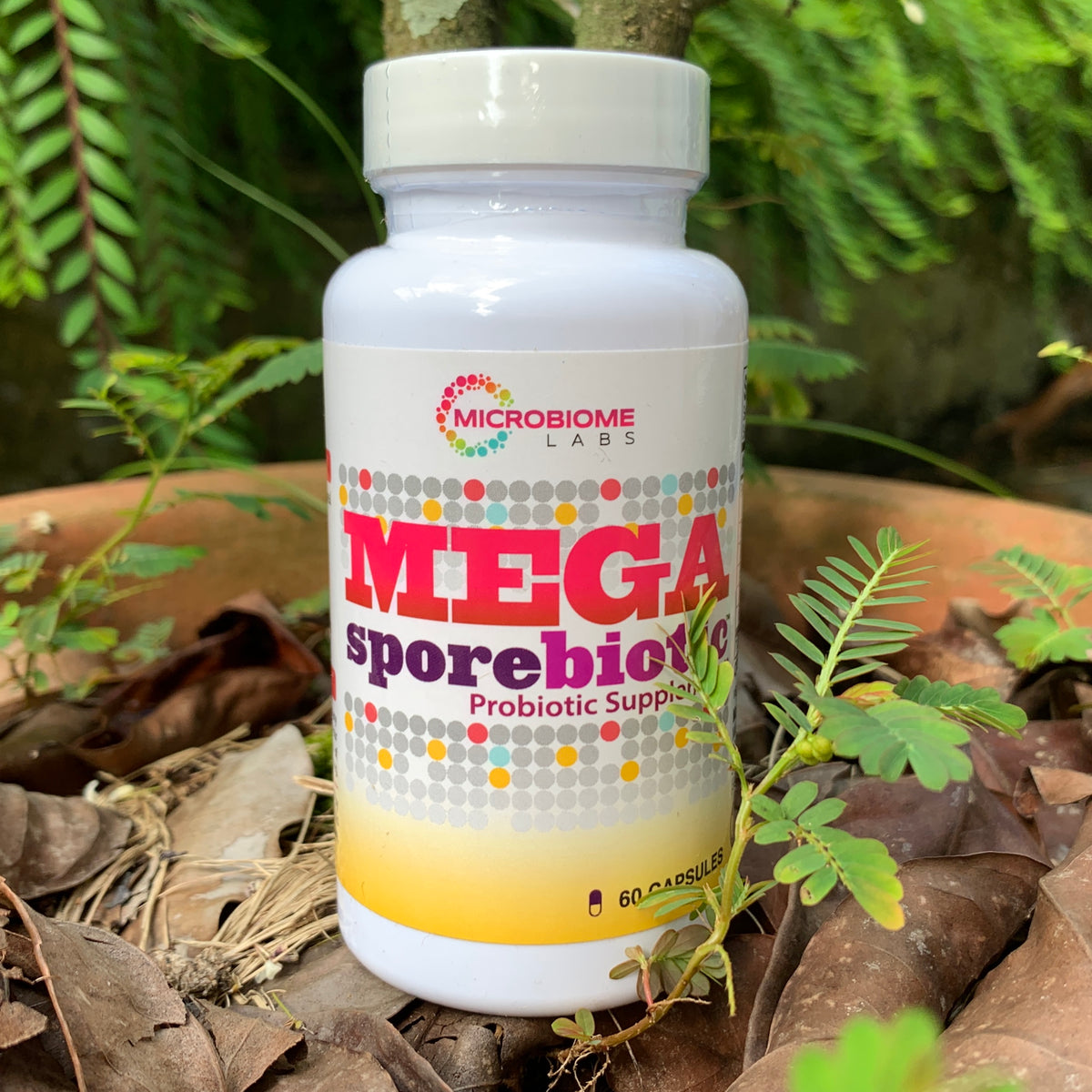 MEGAsporebiotic 60 Capsules, Microbiomelabs – I-NATURA Pte Ltd