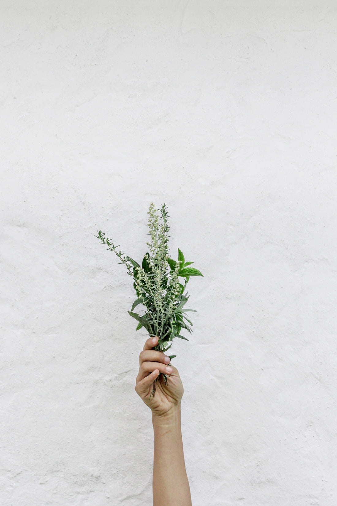 Combined medicinal plants in functional gastrointestinal problems