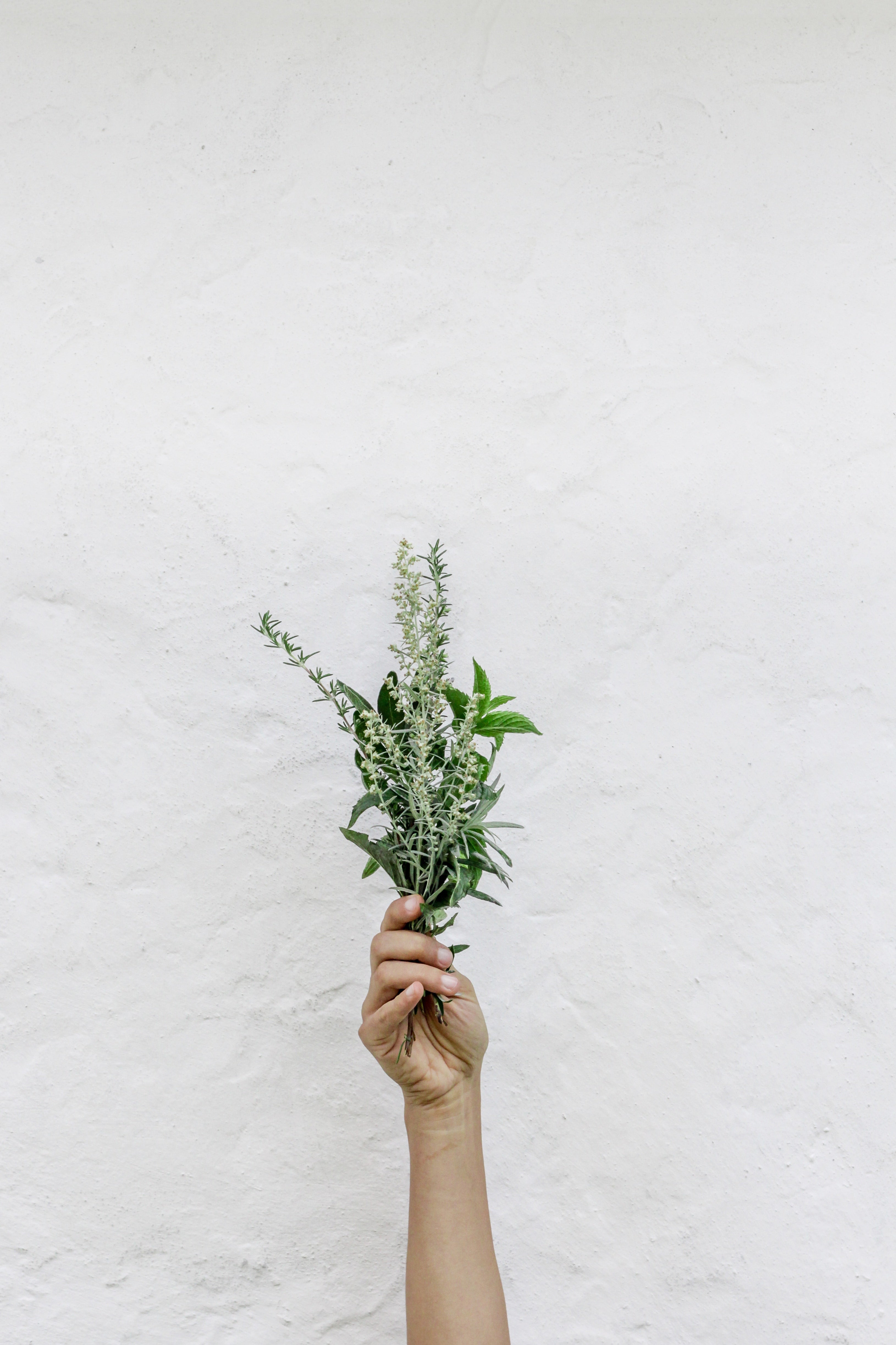 Combined medicinal plants in functional gastrointestinal problems