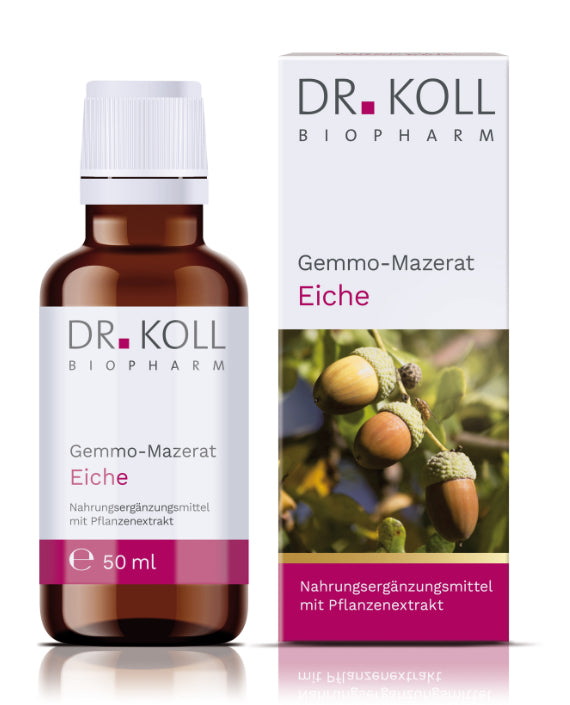 Gemmo-Mazerat Eiche Dr. Koll 50 ml