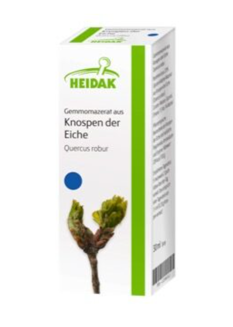 HEIDAK Knospenextrakt Eiche – Quercus robur 30 ml