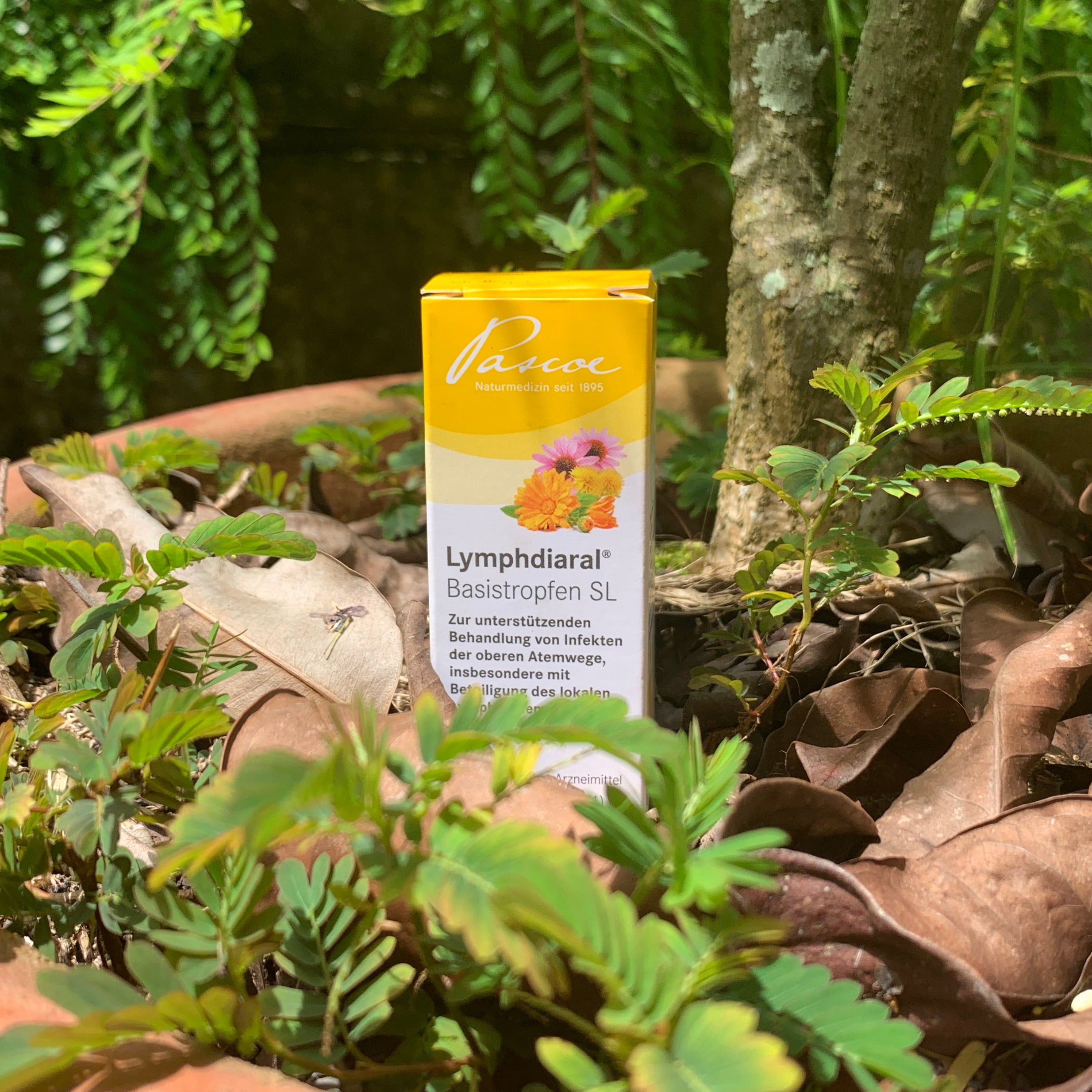 Lymphdiaral Basistropfen SL 20 ml