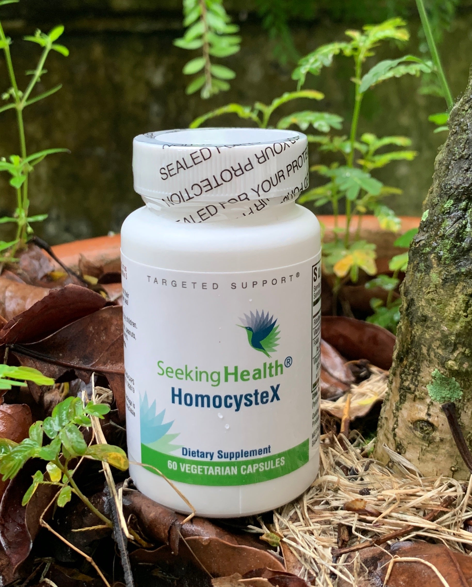 HomoCysteX 60 capsules