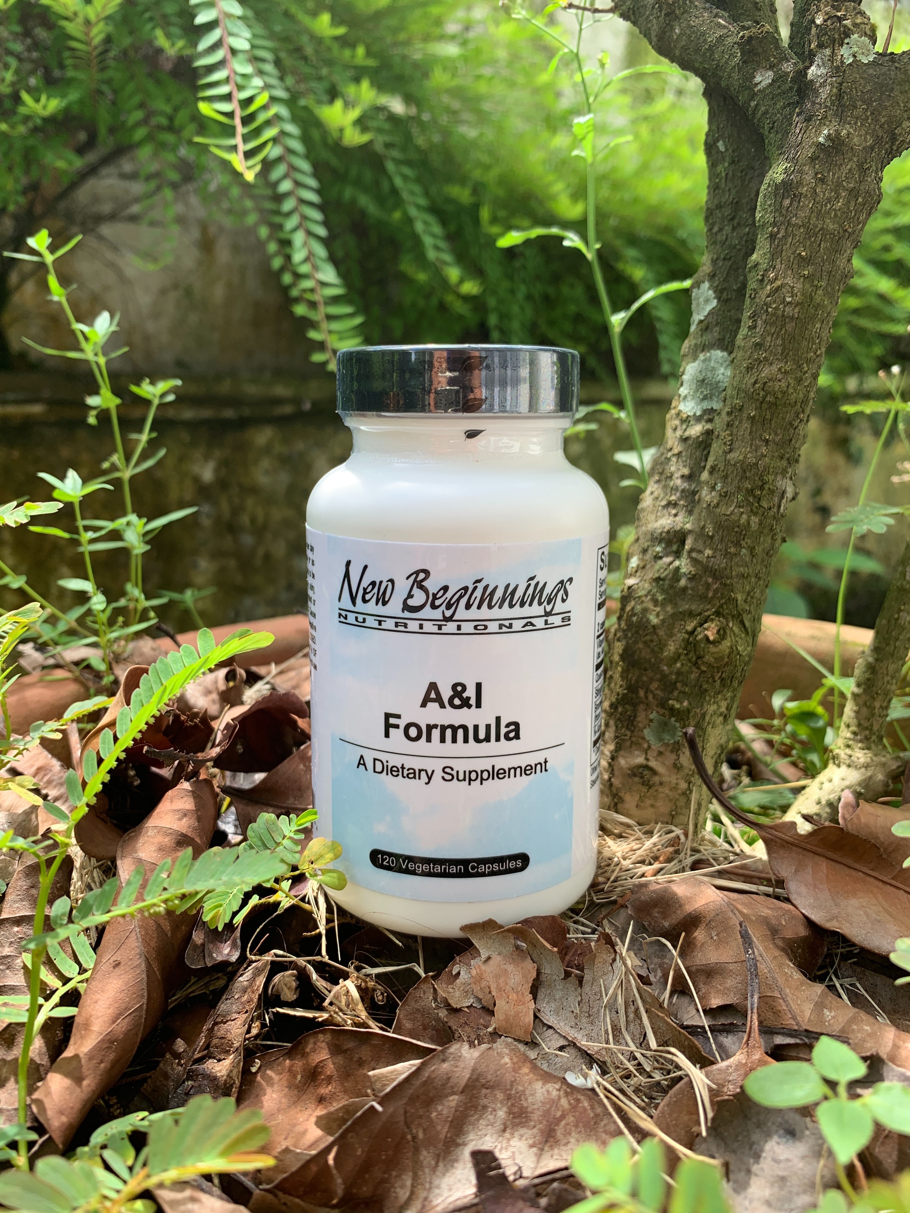 A & E Formula 120 capsules