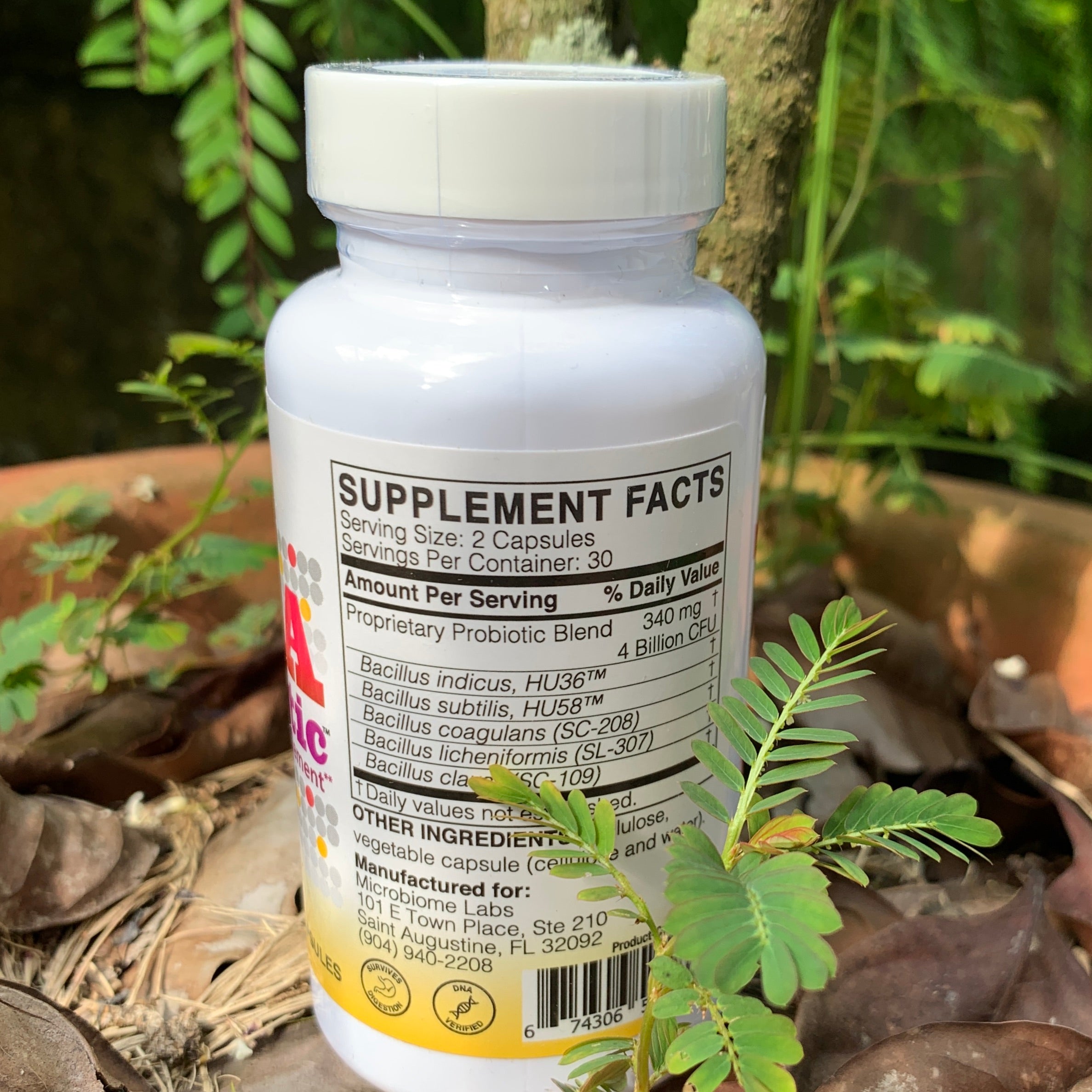 MEGAsporebiotic 60 capsules