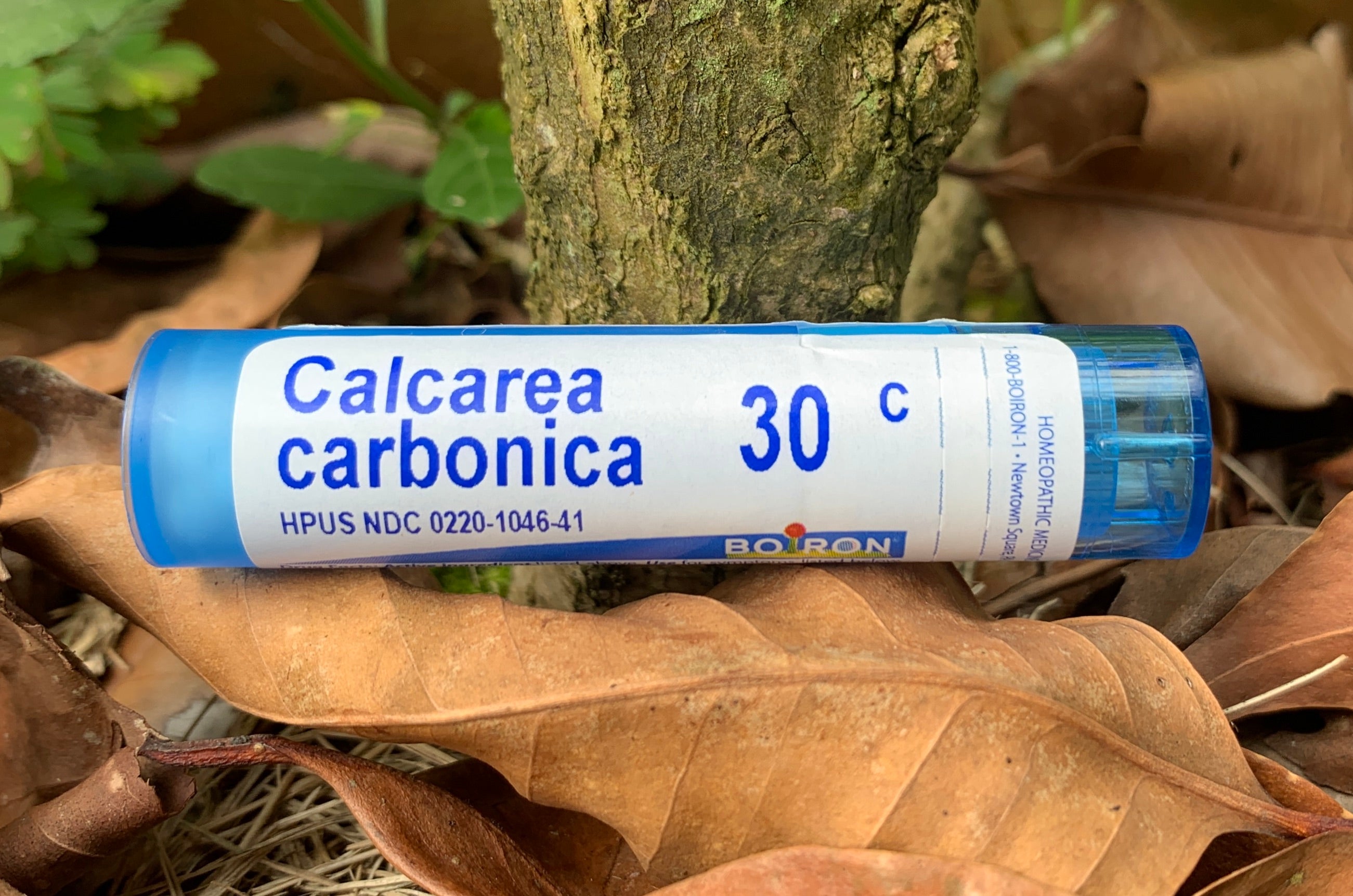 Calcarea carbonica 30C 80 pts