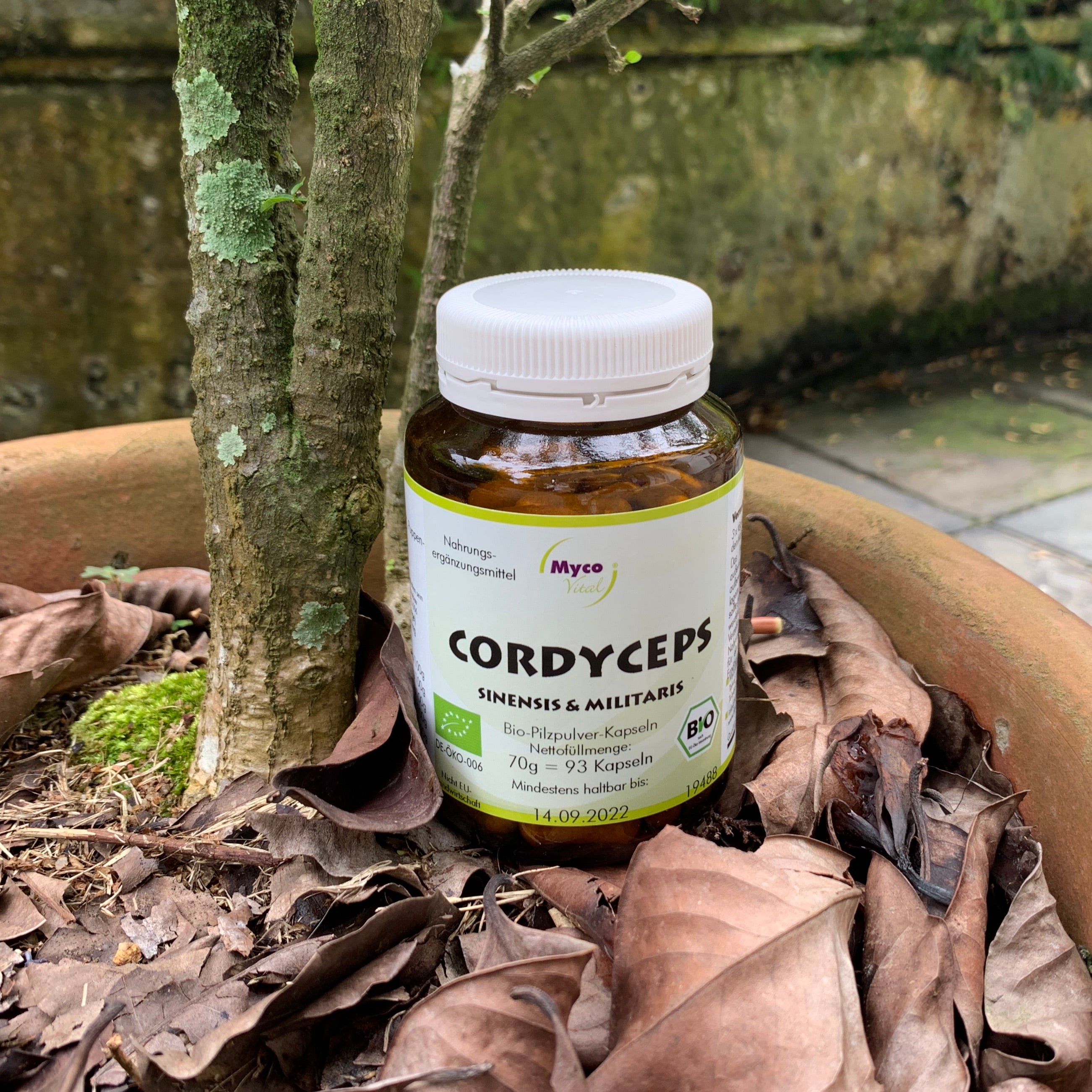 Cordyceps 93 capsules
