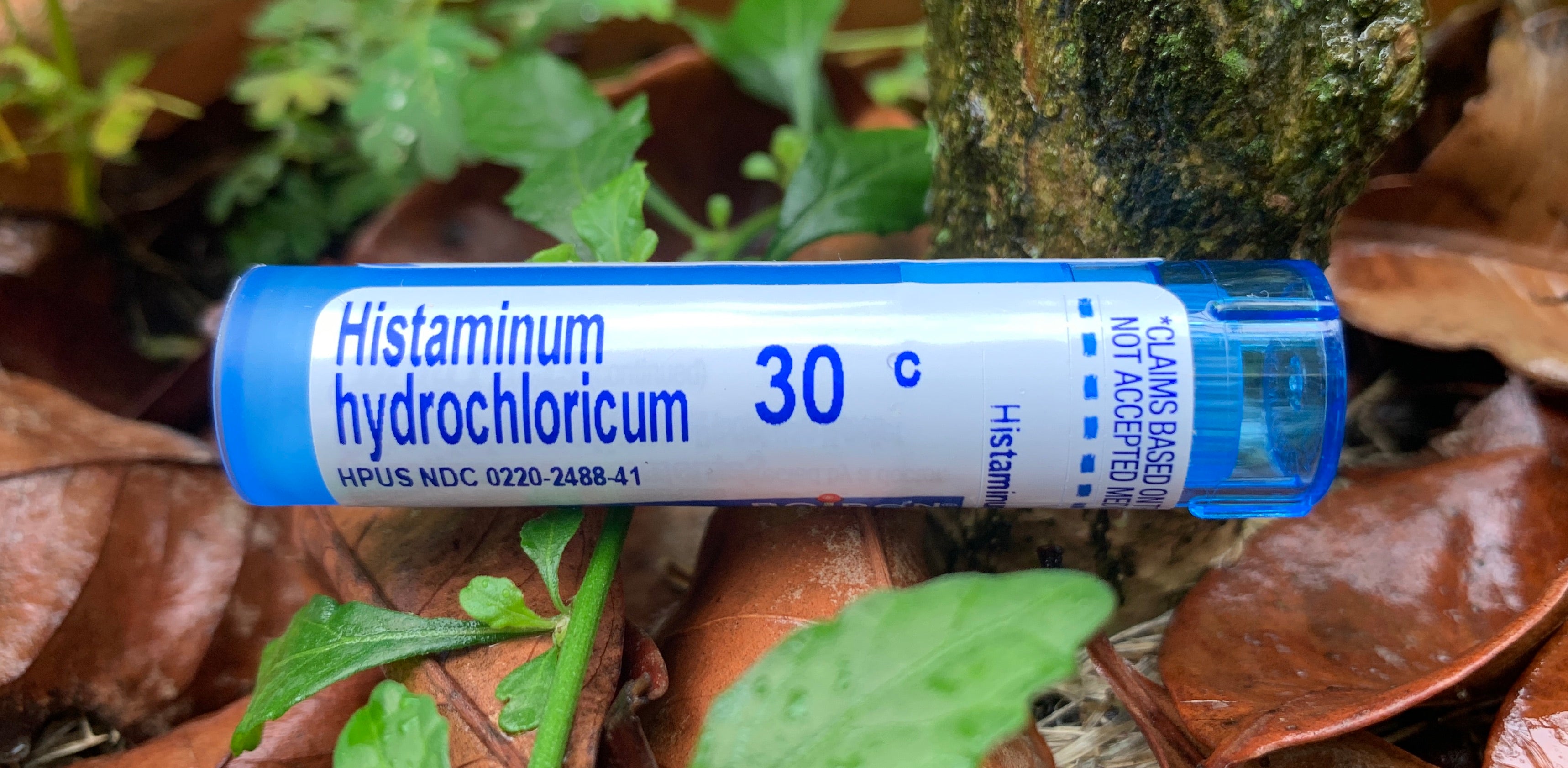 Histaminum hydrochloricum 30C 80 pellets