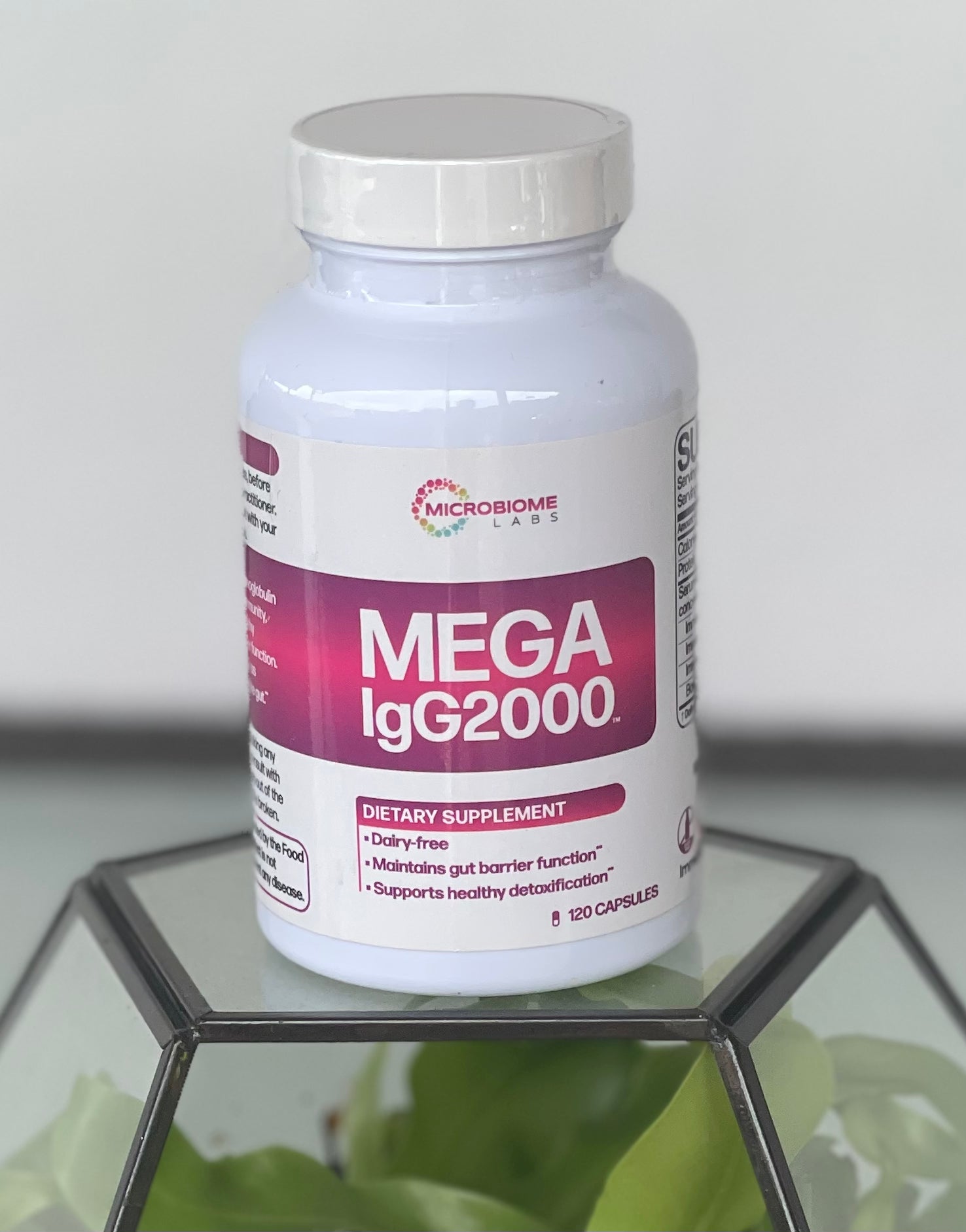 Mega IgG2000 120 capsules