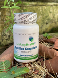 Bacillus coagulans 60 capsules