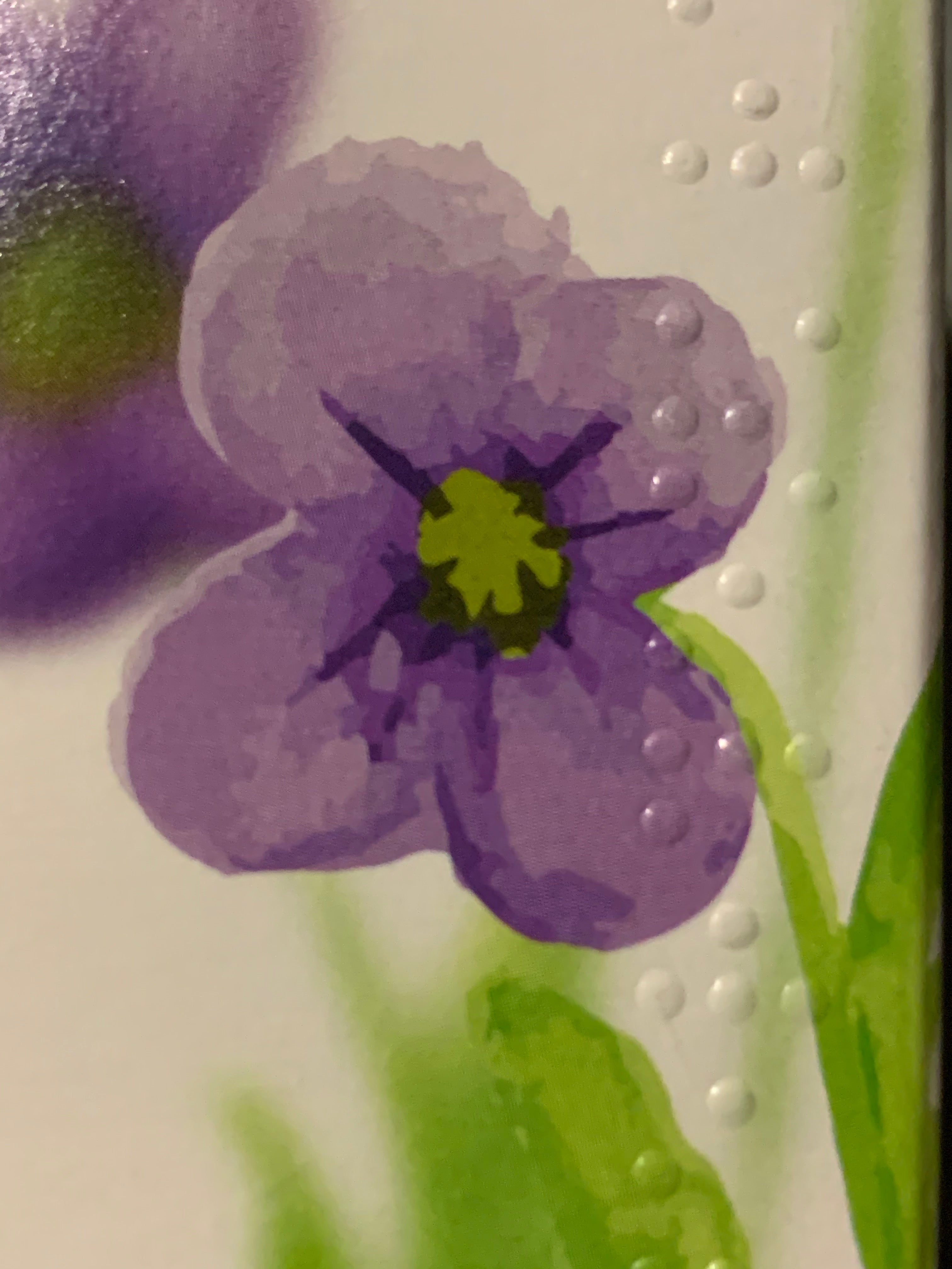 Pansy (Viola tricoloris herba) 50 g